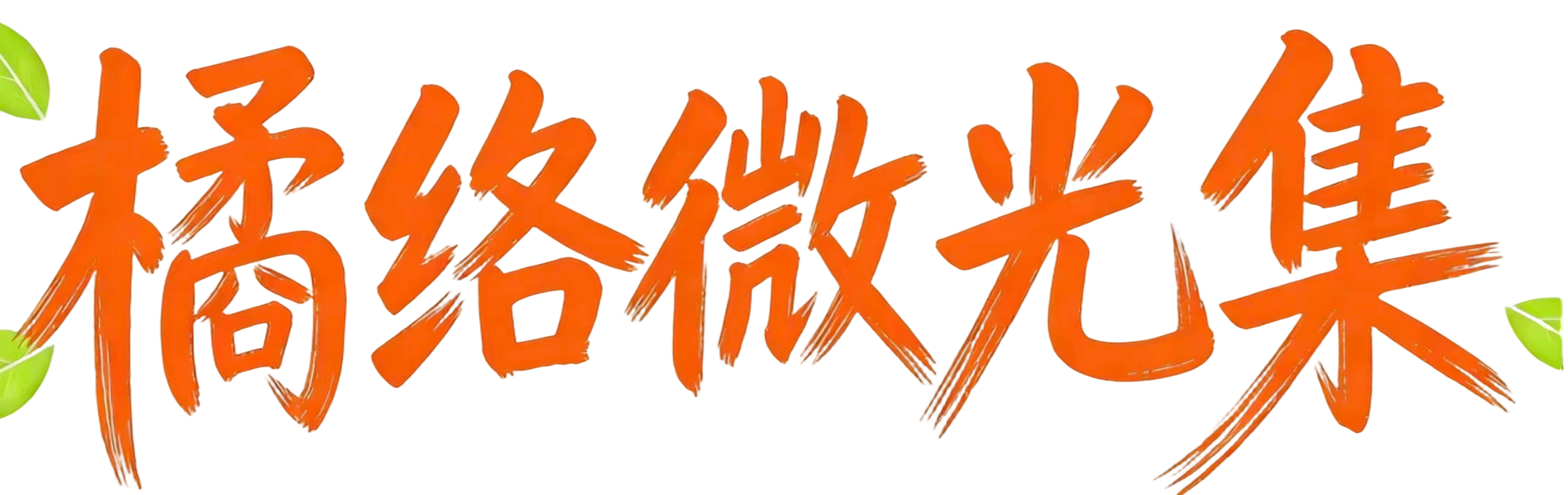 橘络微光集